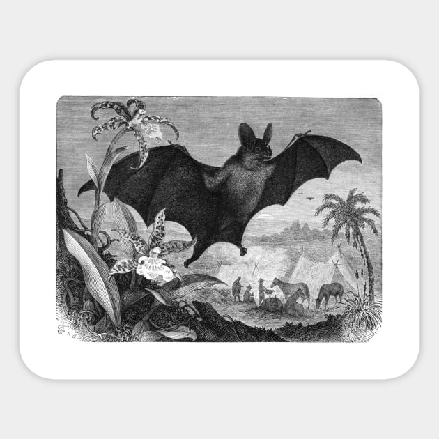 Vampire Bats Sticker by Bravuramedia